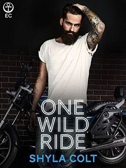 One Wild Ride (Lords of Mayhem 2)