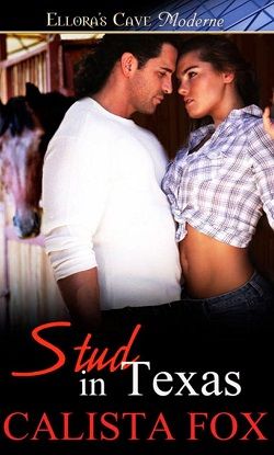 Stud in Texas (Rugged and Risque 4)