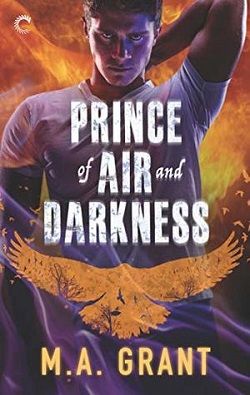 Prince of Air and Darkness (The Darkest Court)