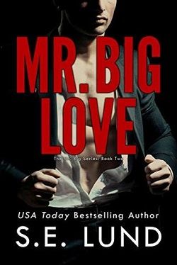 Mr. Big Love (Mr. Big 2)