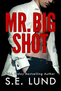 Mr. Big Shot (Mr. Big 1)