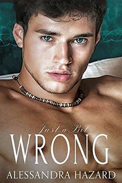 Just a Bit Wrong (Straight Guys 4)