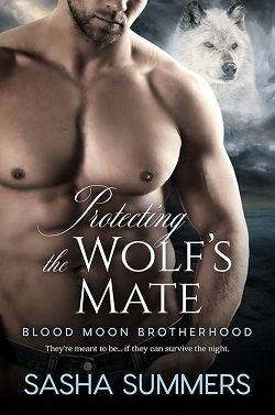 Protecting the Wolf's Mate (Blood Moon Brotherhood 3)