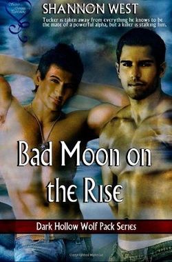 Bad Moon on the Rise (Dark Hollow Wolf Pack 7)