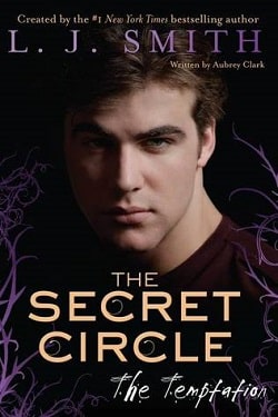 The Temptation (The Secret Circle 6)