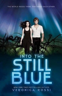 Into the Still Blue (Under the Never Sky 3)