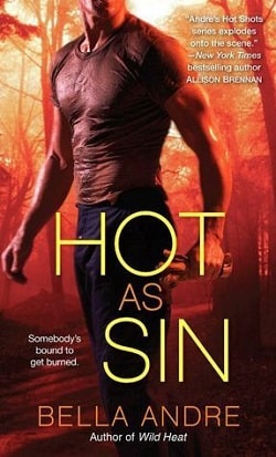 Hot as Sin (Hot Shots: Men of Fire 2)