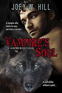 Vampire's Soul (Vampire Queen 14)