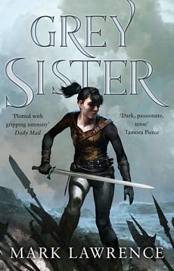 Grey Sister (Book of the Ancestor 2)