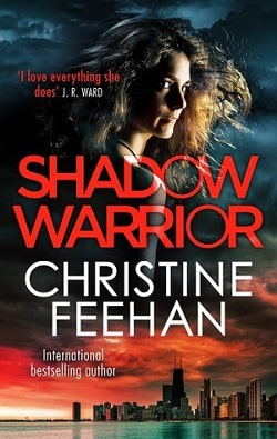 Shadow Warrior (Shadow Riders 4)
