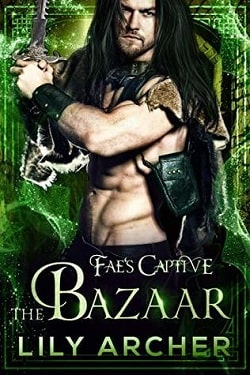 The Bazaar (Fae's Captive 6)