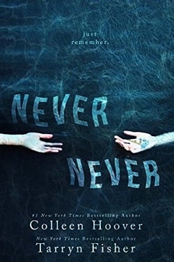 Never Never (Never Never 1)