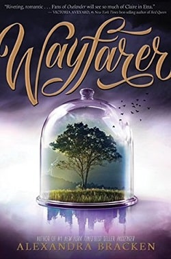 Wayfarer (Passenger 2)