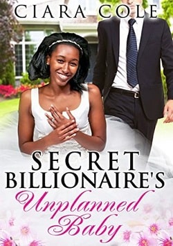 Secret Billionaire's Unplanned Baby