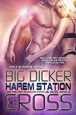 Big Dicker (Harem Station 3)