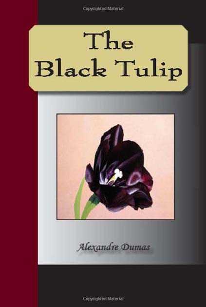 The Black Tulip